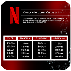 Bono Netflix