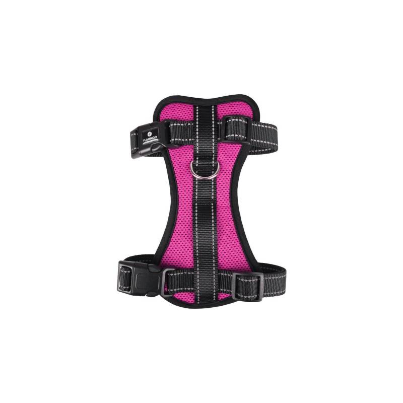 ARNES MILOU TALLA S