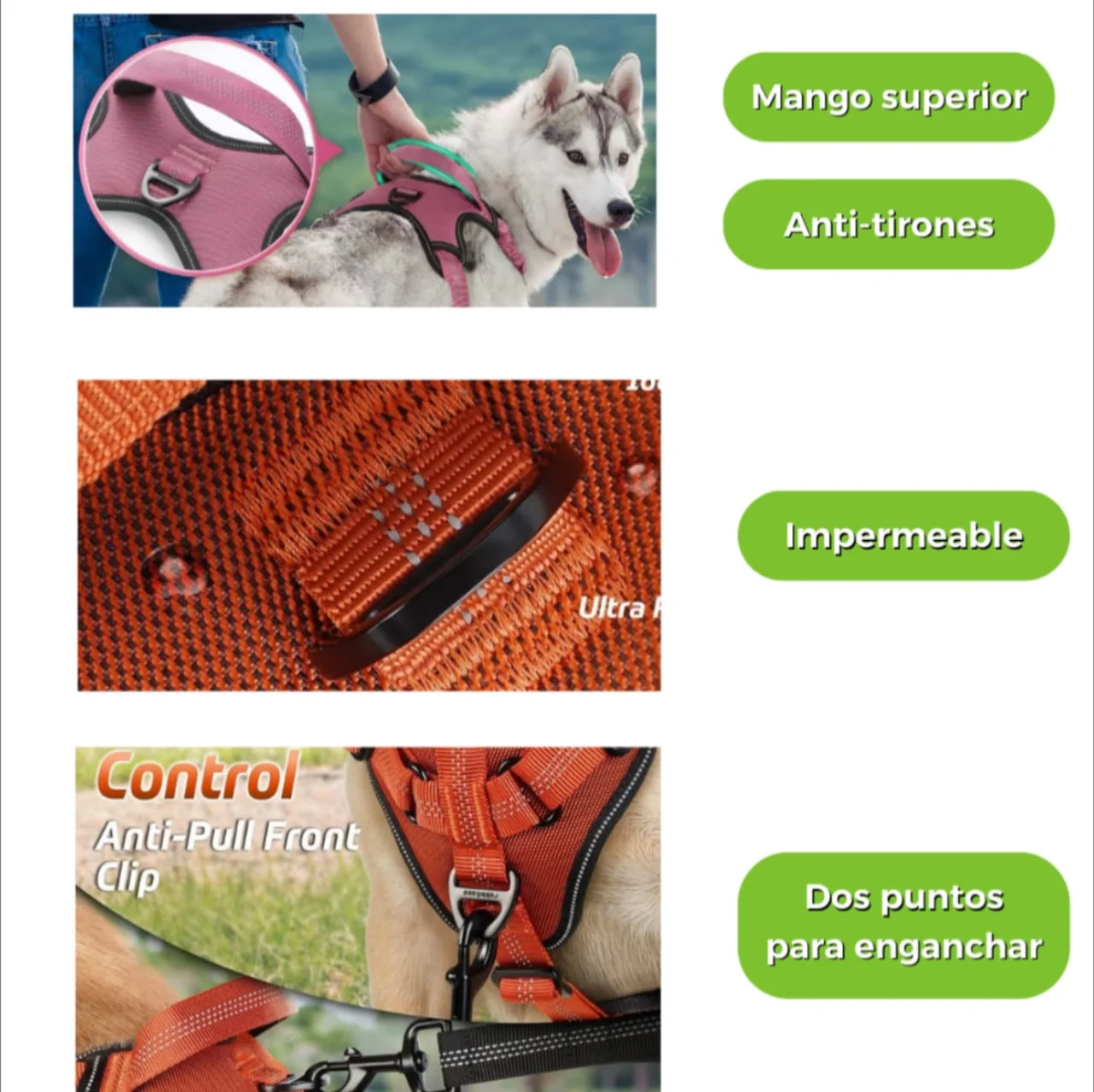 ARNES PECHERA CON ABSORCION DE IMPACTOS TALLA S