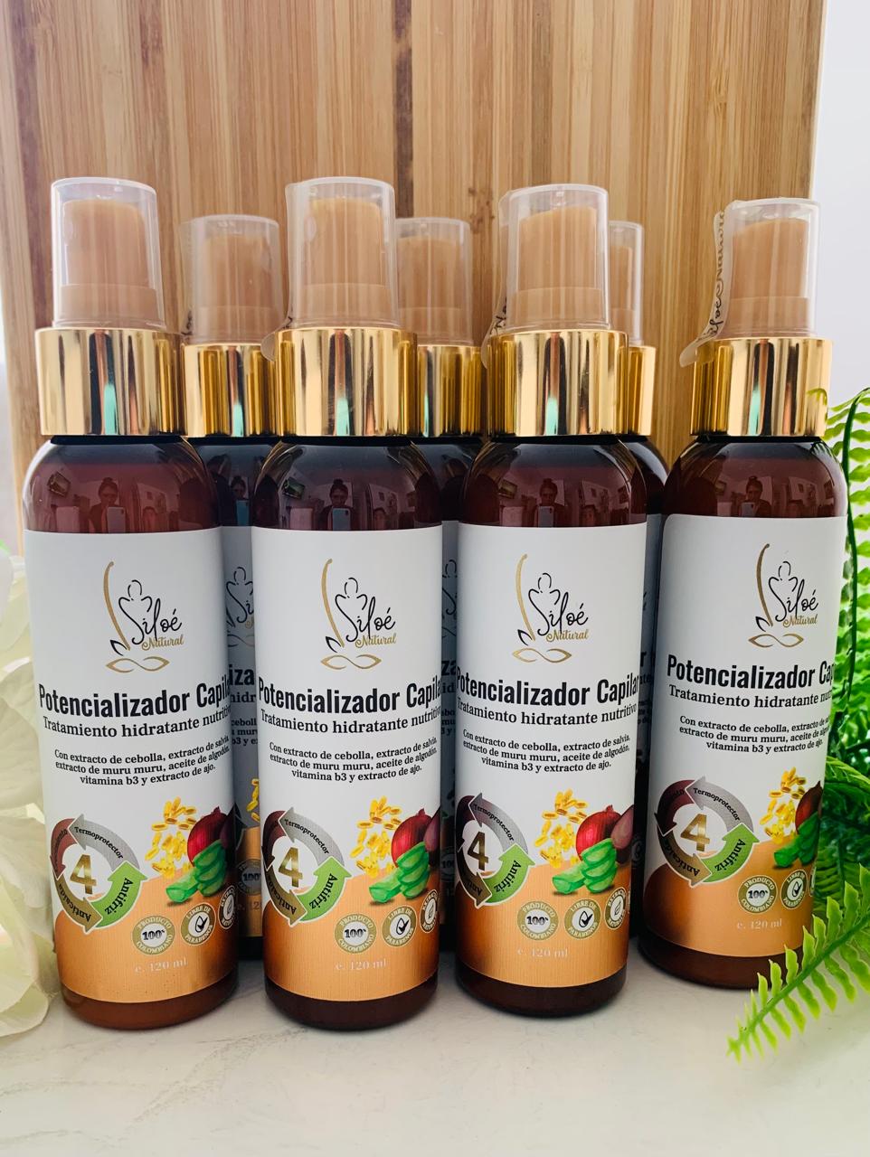 Kit Capilar Siloe Natural
